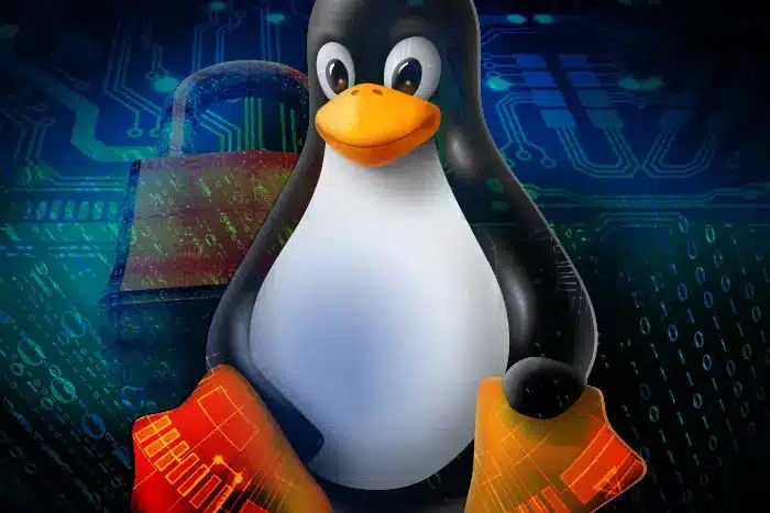 linux penguin security 100694867 large Journey as a Software Developer