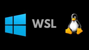 wsl Journey as a Software Developer